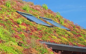 Rowhedge living roof systems