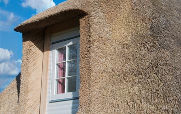 Rowhedge thatch roof disadvantages